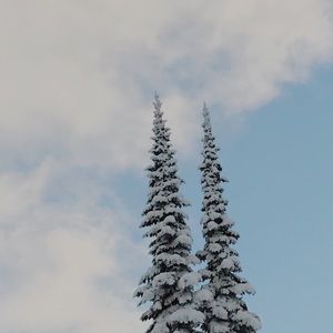 Meet your Posher, Jacelyn